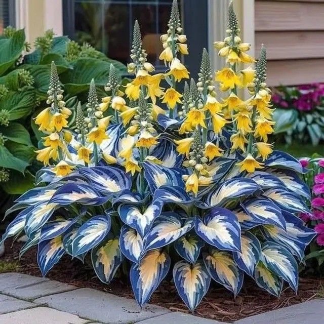 /698deeb429ab0c0009666e12/2026/03/13/product-img-69b3d39c6f906dd9e877a746.jpg