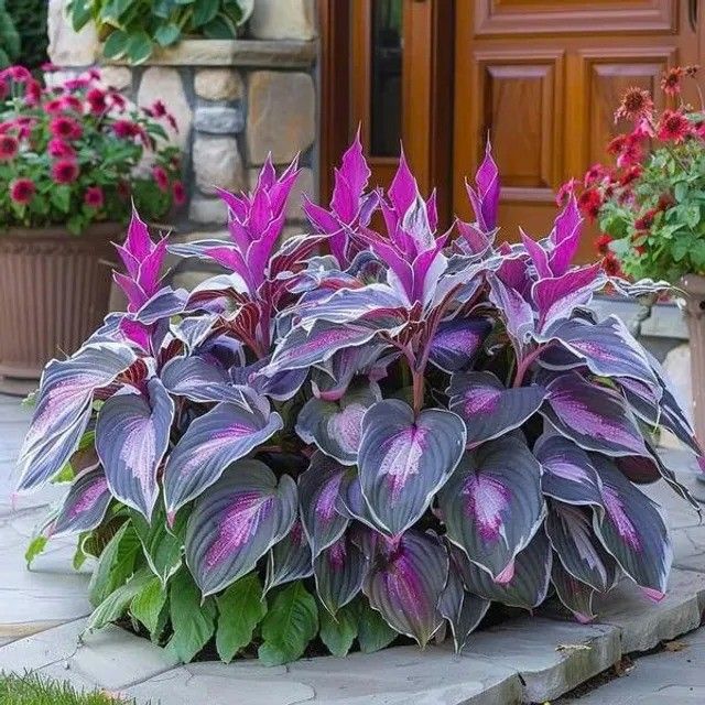 /698deeb429ab0c0009666e12/2026/03/13/product-img-69b3d39c6f906dd9e877a749.jpg