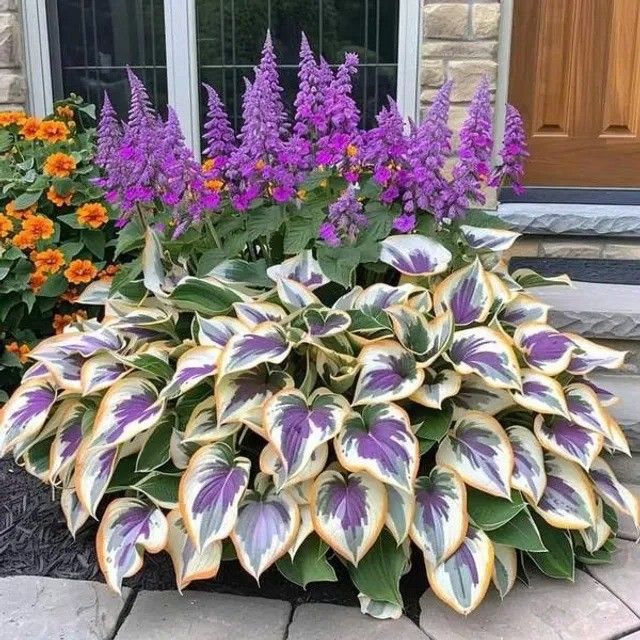 /698deeb429ab0c0009666e12/2026/03/13/product-img-69b3d39d6f906dd9e877a74b.jpg