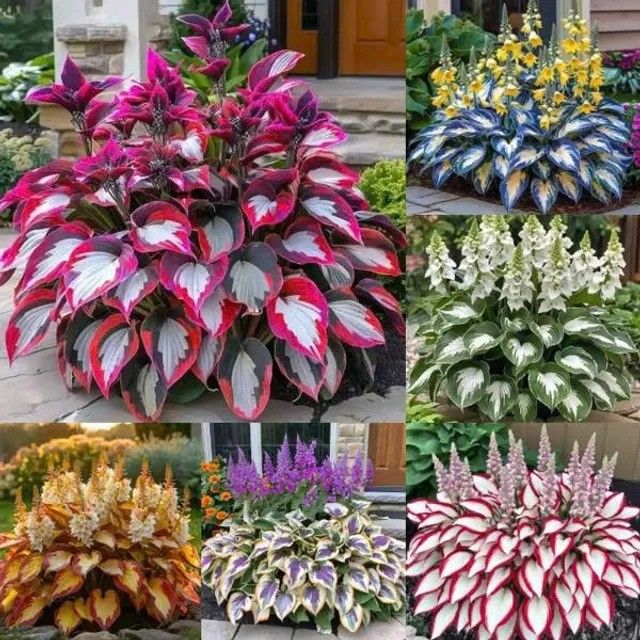/698deeb429ab0c0009666e12/2026/03/13/product-img-69b3d39d6f906dd9e877a74c.jpg
