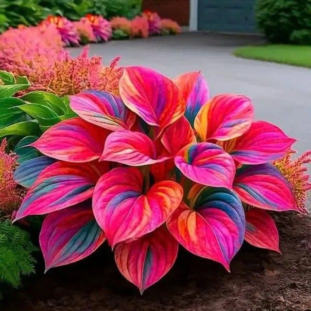 /698deeb429ab0c0009666e12/2026/03/13/product-img-69b3d39d6f906dd9e877a74e.jpg