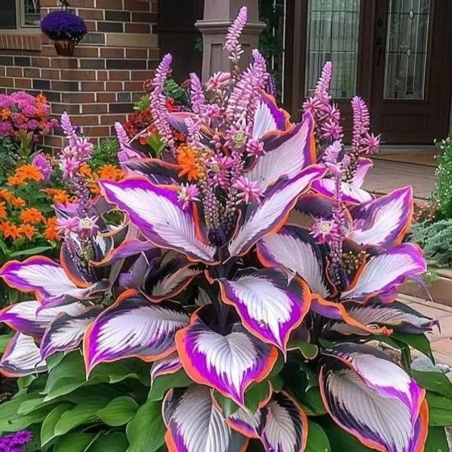 /698deeb429ab0c0009666e12/2026/03/13/product-img-69b3d39d6f906dd9e877a74f.jpg
